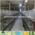H type poultry broiler chicken cage